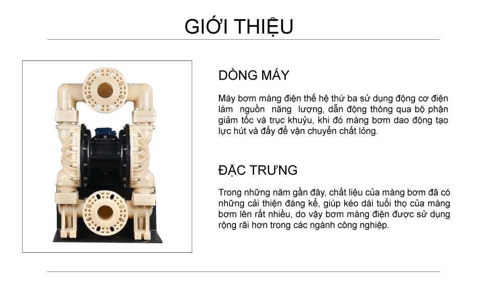 Bơm Màng Điện GODO DBY3S-100 TEFLON