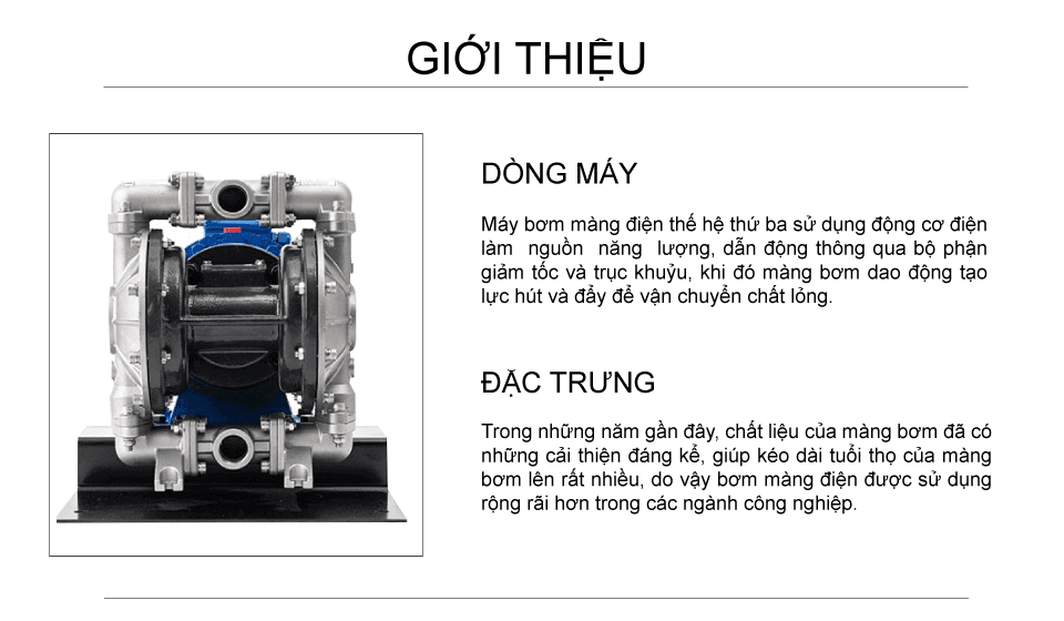 Bơm màng điện GODO BFDS-25 Inox