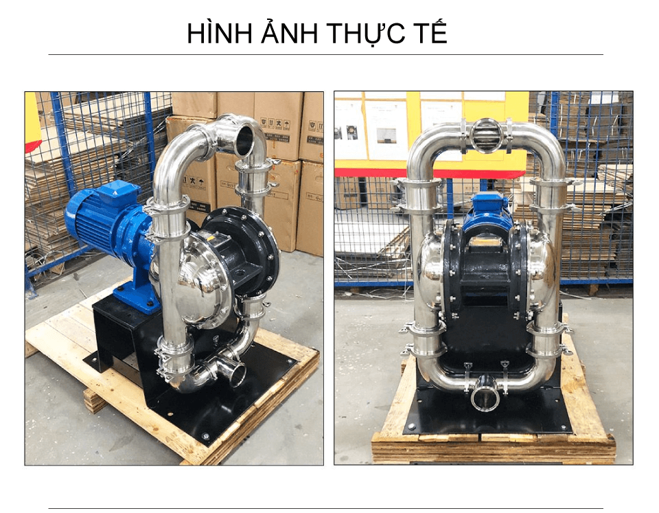 Hình ảnh thực tế Bơm màng điện thực phẩm GODO DBW3-80