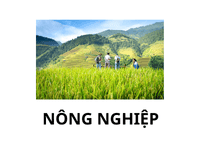 Nong nghiep